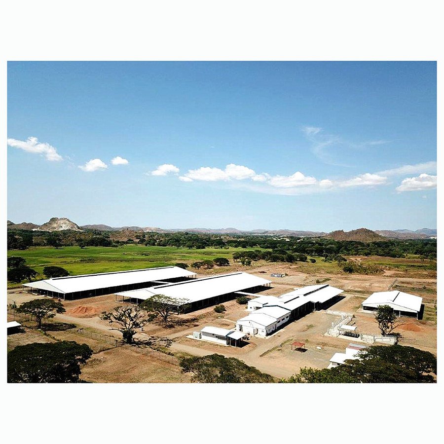 China Prefab Low Cost Factory Price Customization Cattle Farm Cow Shed Light Steel Structure Metal Shed Building