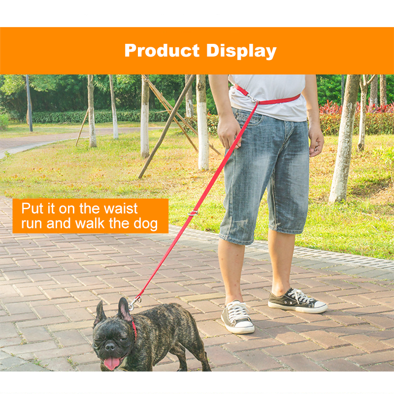 Pet dog leash nylon multifunctional leash outdoor running pull with one drag two double-headed dog rope