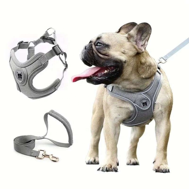 Pet Supplies Wholesale Breathable Adjustable Puppy Cat Harness Vest French Bulldog Accessories Leash and Harness Dog Harness Set