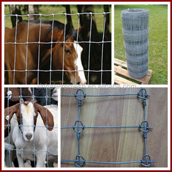 galvanized sheep and goat fence