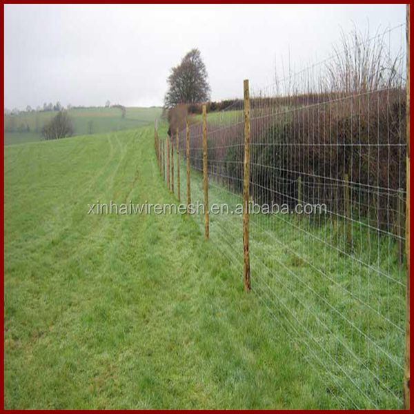 galvanized sheep and goat fence