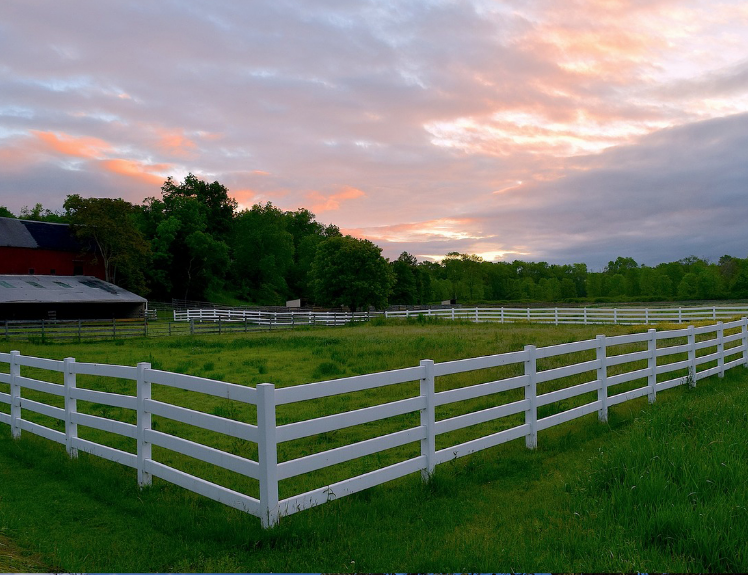 galvanized steel board horse fence powder coated cattle fence pe horse fence in good price