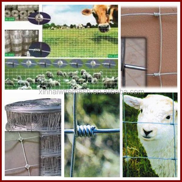 galvanized sheep and goat fence