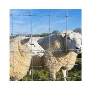 galvanized sheep and goat fence