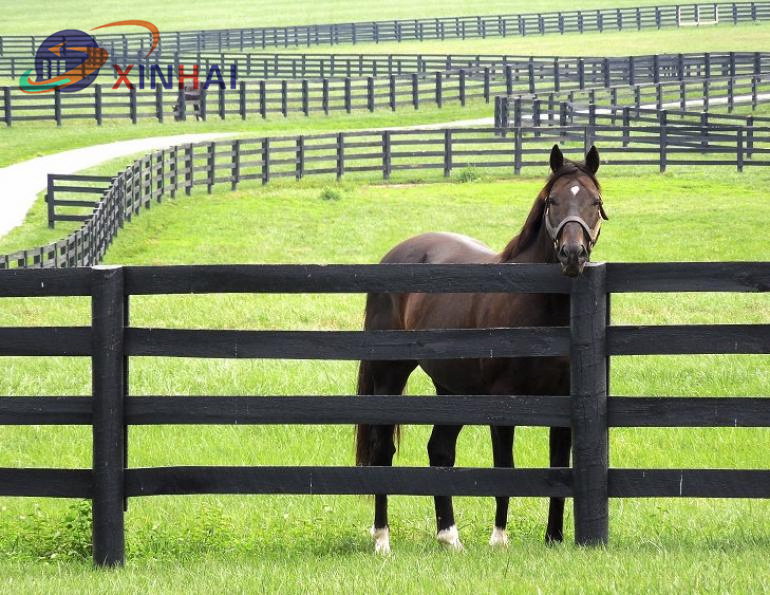 galvanized steel board horse fence powder coated cattle fence pe horse fence in good price