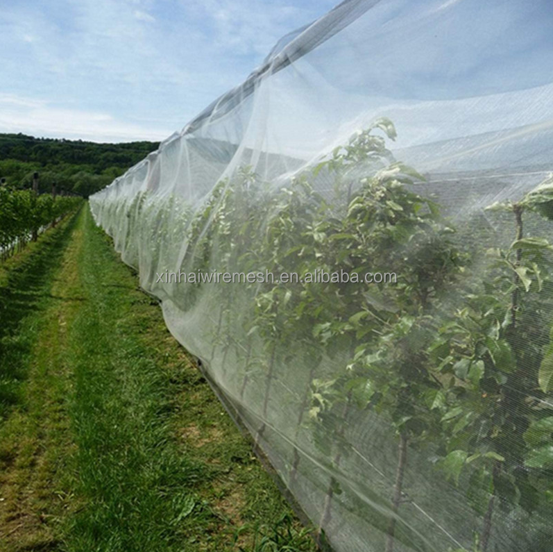 HDPE anti insect net,aphid proof netting,insect proof net for greenhouse low price