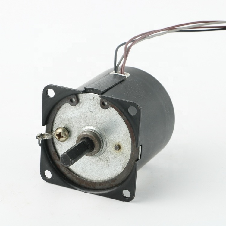 low speed 12V synchronous motor 49tyj ac