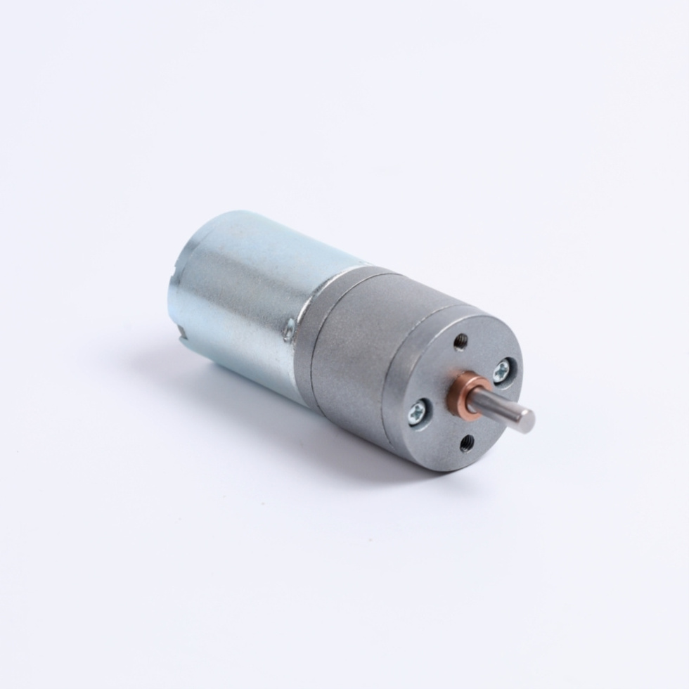 Micro 3v 5v 6v 12v 24v 10rpm 50rpm 60rpm 100rpm 150rpm 200rpm 300rpm Mini Gearbox Motor Reductor Gear Motor