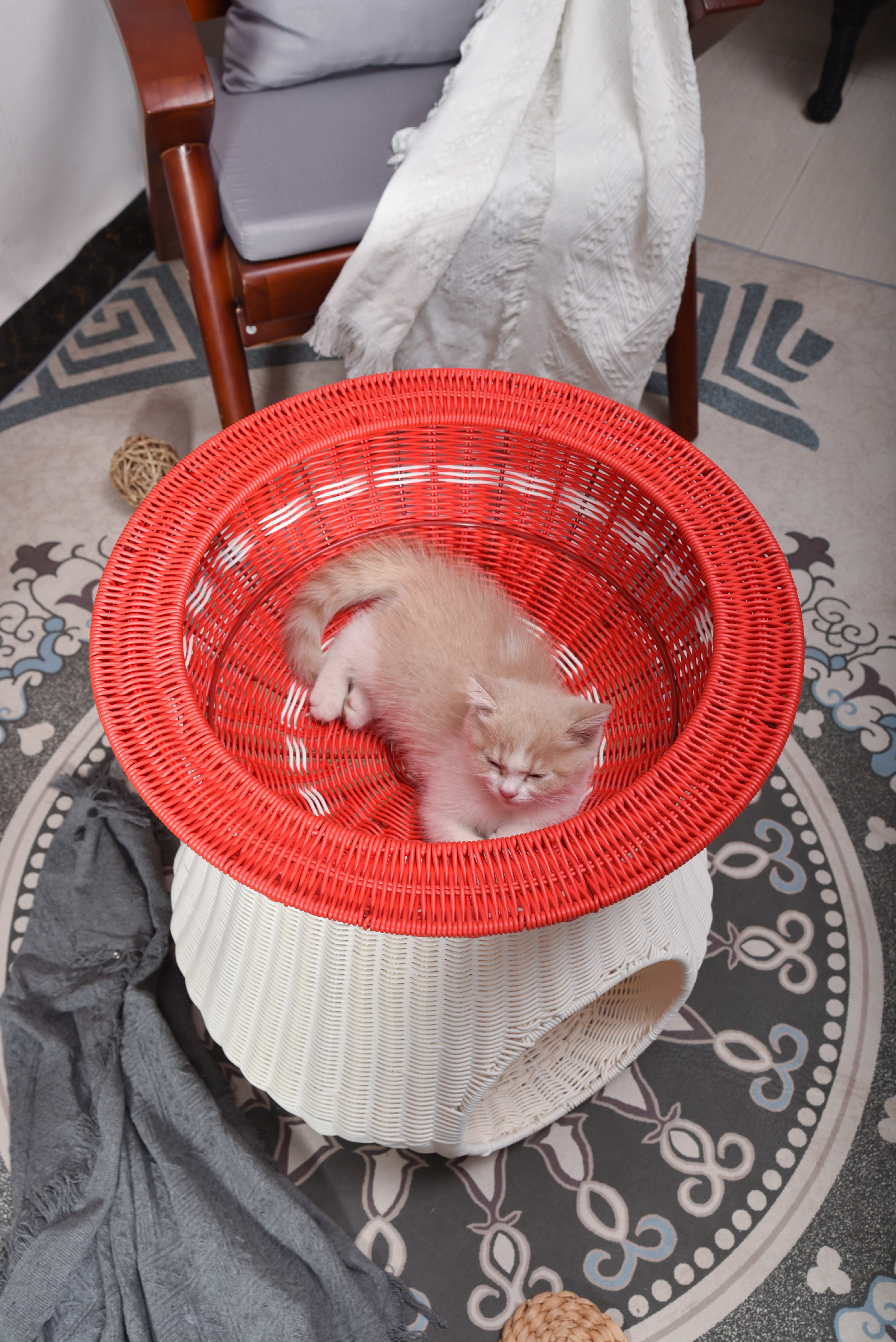 XH Plastic Rattan Resin Wicker Woven Mushrooms Cat Dog Bed Kennel house with mattress Small Pet Animals Bed Nest Mini House Pet