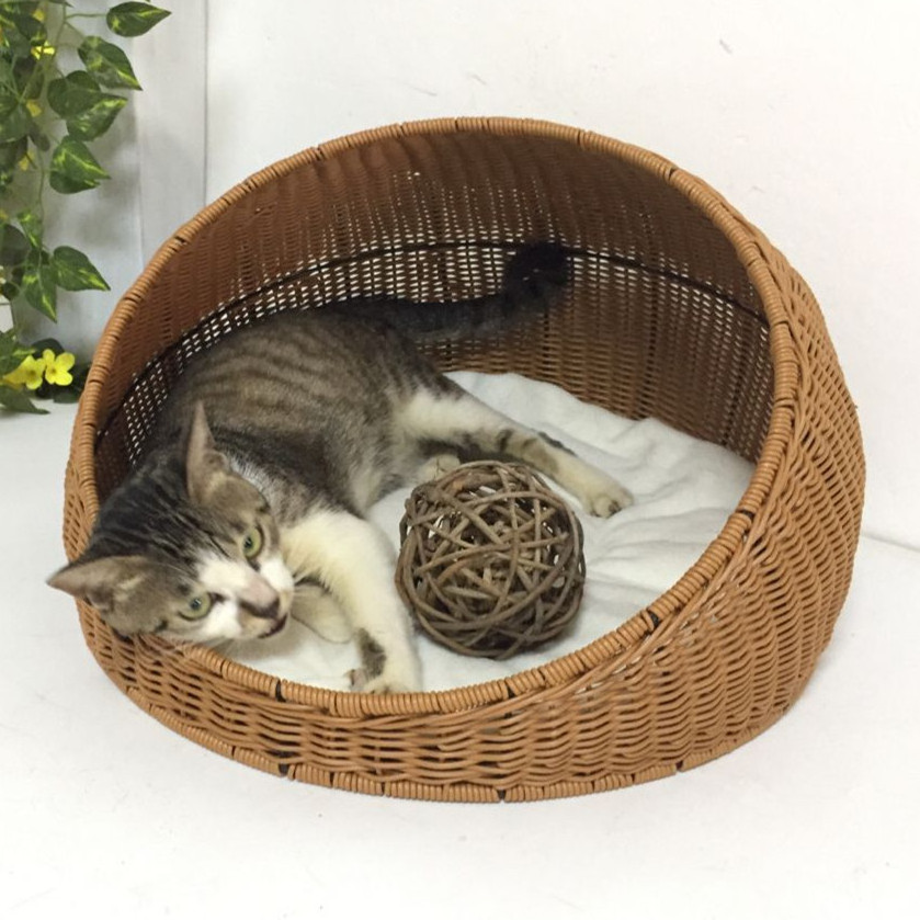 XH Summer Cooling Hand Made Rattan furniture Round Bed with Soft Cushion for Cats Small Dogs Wicker Basket Pet House & Pet cages