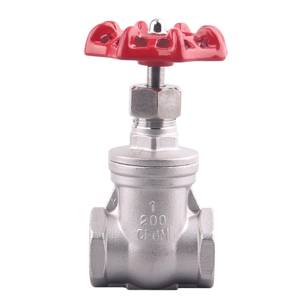 Heavy Duty Gate Valve 2