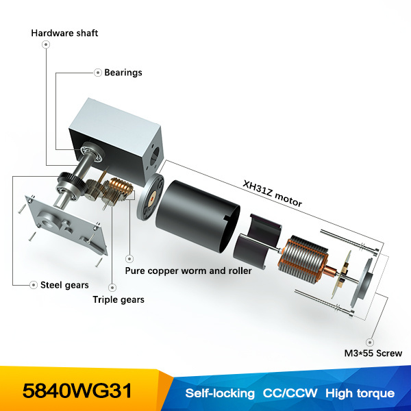 Electric high torque 5840WG31 12v 10rpm 24 volt dc worm gear motor with encoder