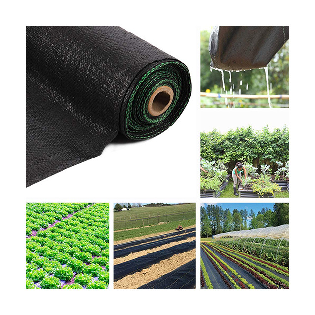 factory direct PP black plastic agricultural  ground covering  ground cover anti weed mat