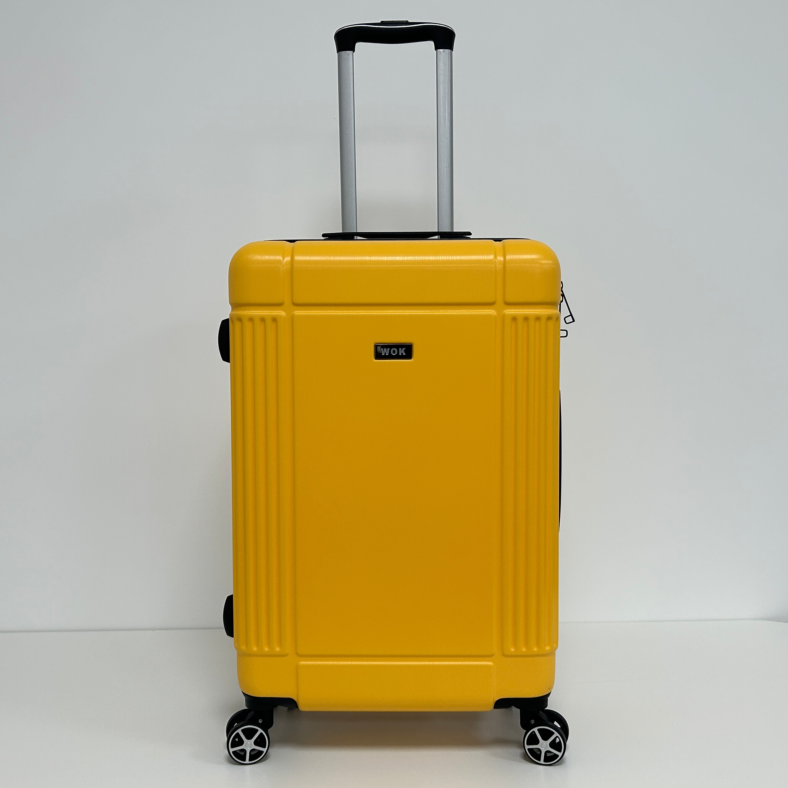 2024  Factory  Promotion diplomat suitcase frame luggage trolley bags abs XHA270