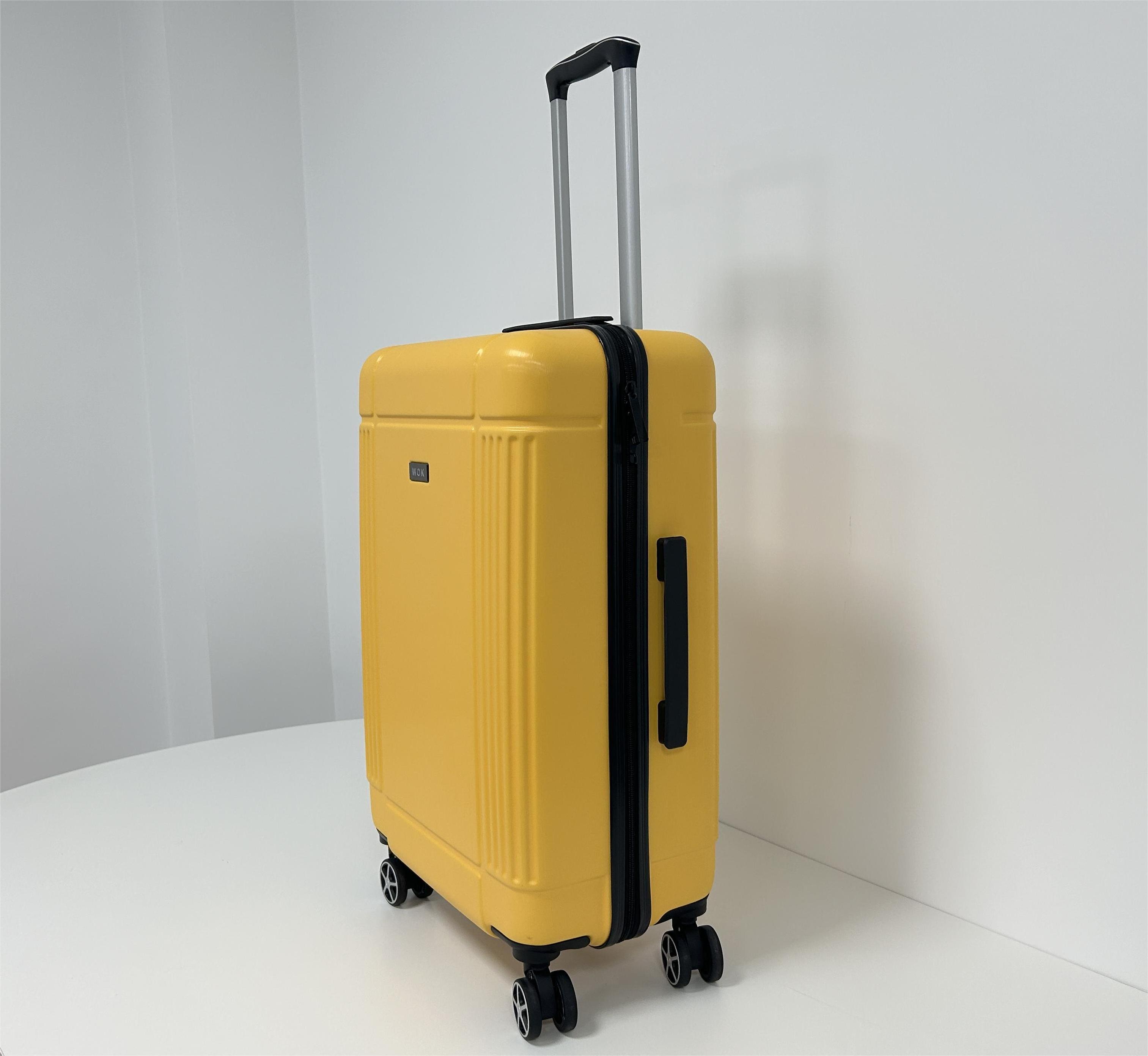 2024  Factory  Promotion diplomat suitcase frame luggage trolley bags abs XHA270