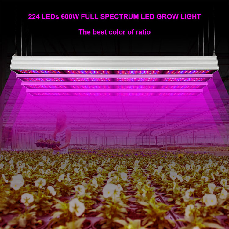 New Samsung 660nm Heatsink 200w 240w 300w 600w Greenhouse Waterproof 600 Watt Low Cost Strip Lamp Led Grow Light One Bar