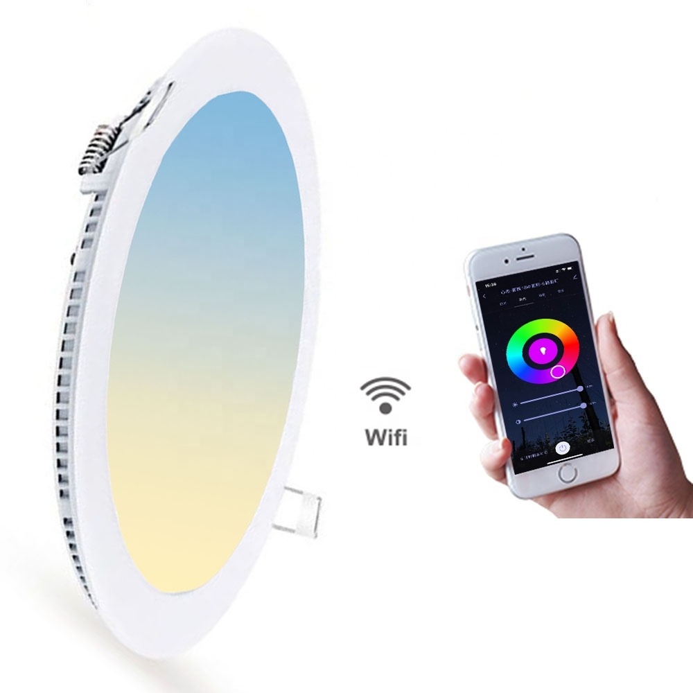 Professional source manufacturer 6W 12W 18W 24W Rgb Alexa Lamp Smart Led Light Panel WIFI+BLE smart Ceiling light