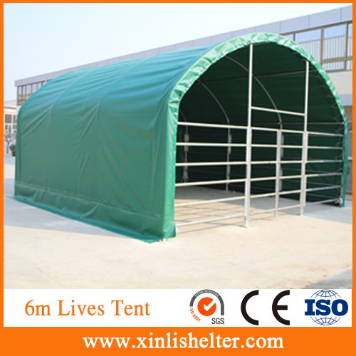 Animal Tent for Raise Cattle & Cow