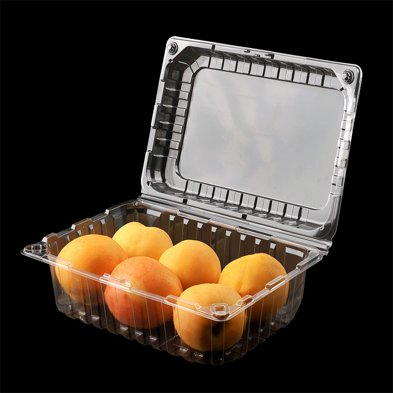 Wholesale pet pp pvc clamshell blister disposable clear plastic food packaging boxes and buckets