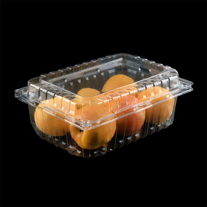 Wholesale pet pp pvc clamshell blister disposable clear plastic food packaging boxes and buckets