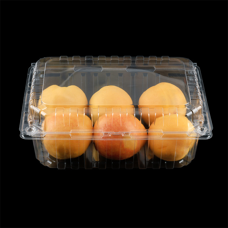 Wholesale pet pp pvc clamshell blister disposable clear plastic food packaging boxes and buckets