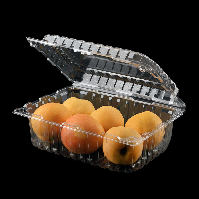 Wholesale pet pp pvc clamshell blister disposable clear plastic food packaging boxes and buckets