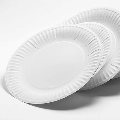 Disposable paper dishes that are lightweight and sturdy