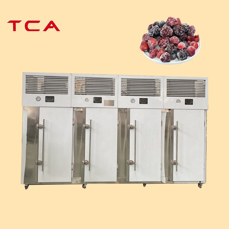 Factory price TCA hot sale 4 door freezer cabinet freezer Vertical deep freezer