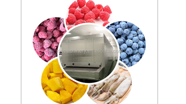 TCA XINDAXIN Iqf Freezing IQF French Fries Freezing Tunnel frozen machines