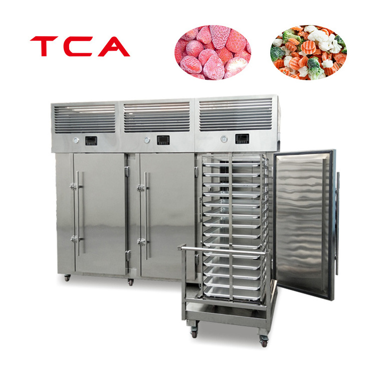 Factory price TCA hot sale 4 door freezer cabinet freezer Vertical deep freezer