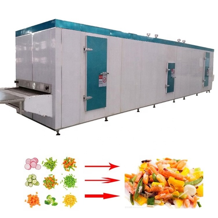 Frozen Fruit & Vegetable Processing Production Line Frozen Carrot Cubes Machine