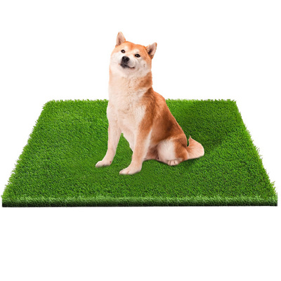 Synthetic Grass Gym Carpet Artificial Outdoor Turf Grass Sports Flooring Court Equi Wall Panels Green Carpet  Artificial Grass