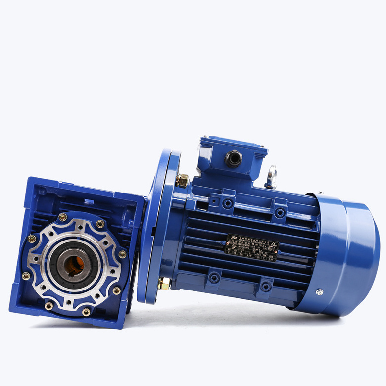 China manufacturer 220V RV NMRV series ac electric motor worm gear speed reducer