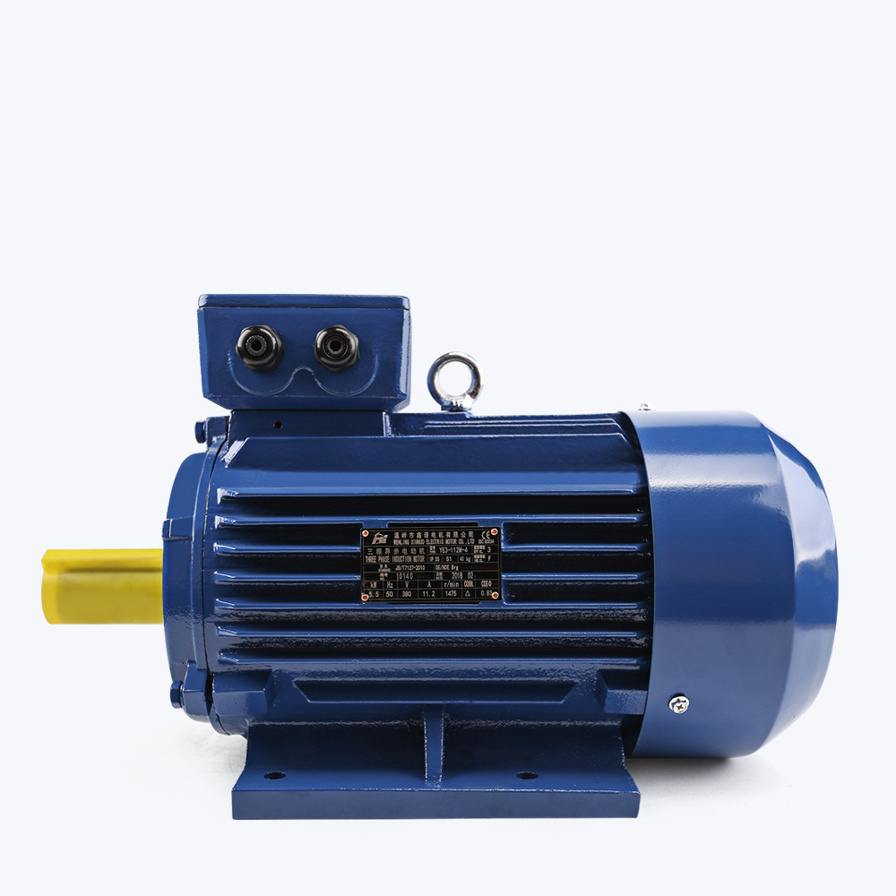 YE3 series guangzhou 800w 5 kw 8kw 5000w 8000w 50kw 80kw 6hp 70hp electric motor for conveyor belt