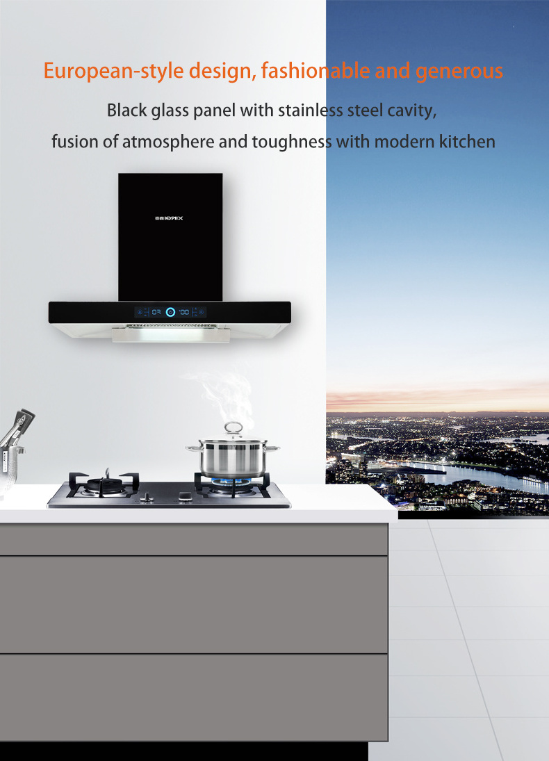 Stainless range hood double motors with CE super strong suction international version side kitchen range hood