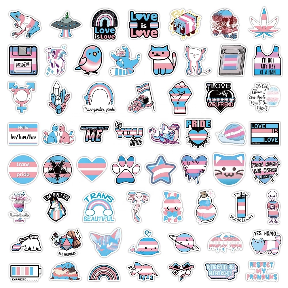 60pcs Transgender Pride stickers for adults waterproof custom laptop window skateboard wall animal water bottle PVC cat sticker