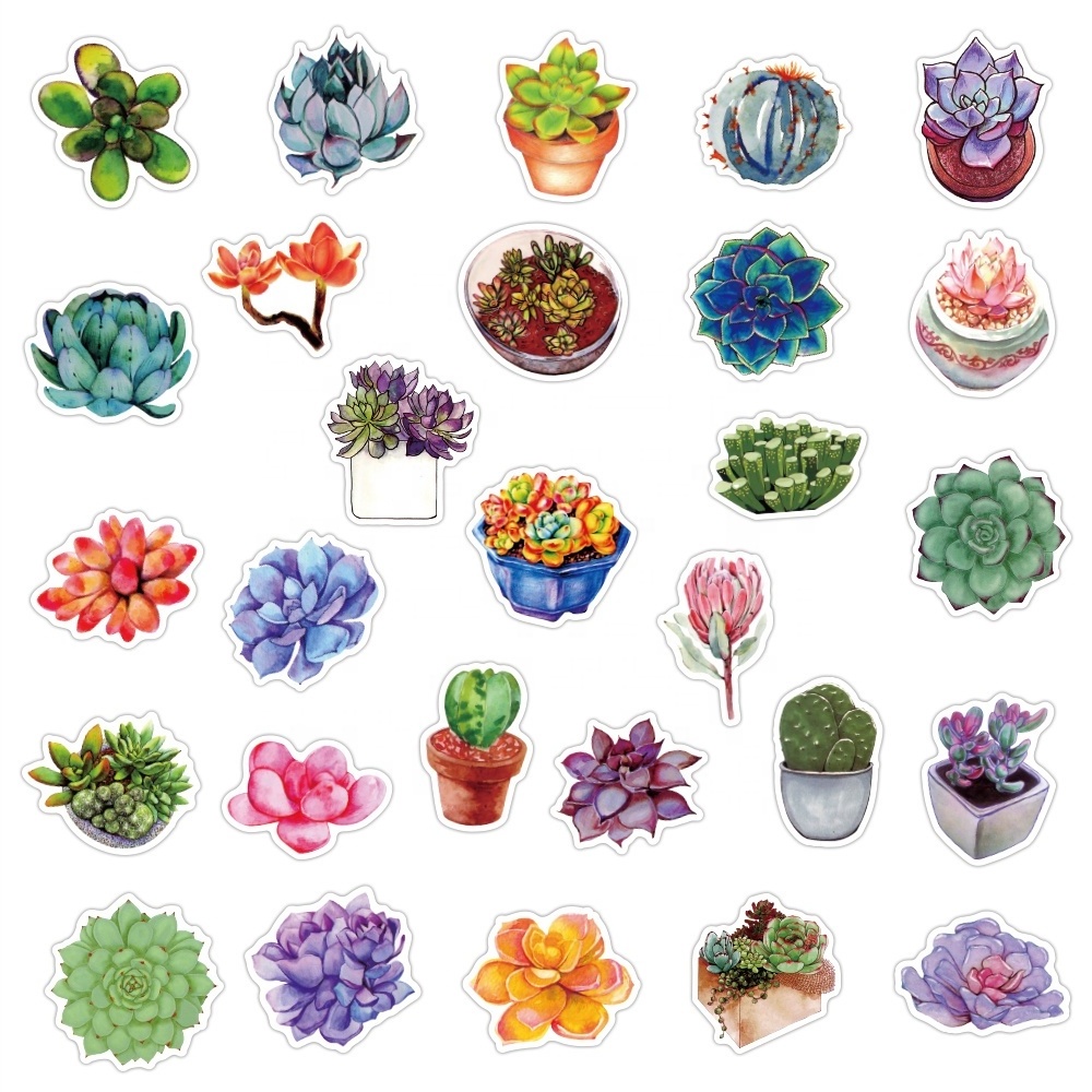 50pcs Cute Succulent plants Styles stickers waterproof mobile water bottle sticker luggage laptop fashion flower sticker