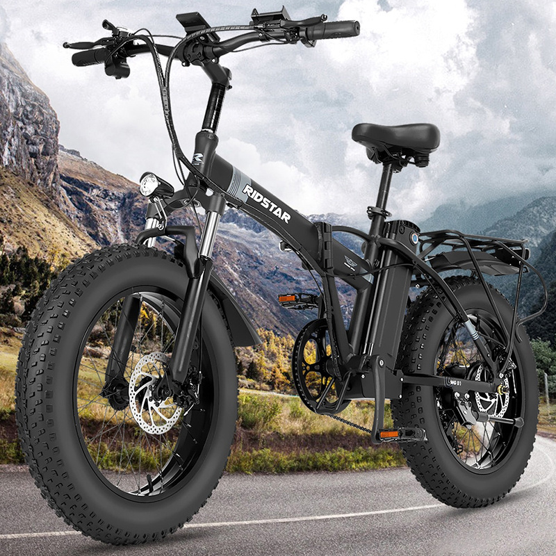 Free Shipping 1000w 48v 14ah 45km/h 20 Inch Fat Tire  Folding Electric Bike for Adults Electric Bicycle Electric Mountain Ebike