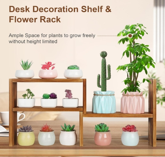 New style Small Plant Stand Window Sill 3 Tiered Plant Shelves Tabletop Wooden Plant Stands Indoor Narrow Succulent Stand