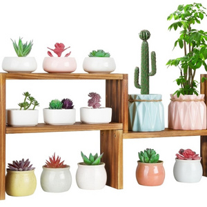 New style Small Plant Stand Window Sill 3 Tiered Plant Shelves Tabletop Wooden Plant Stands Indoor Narrow Succulent Stand