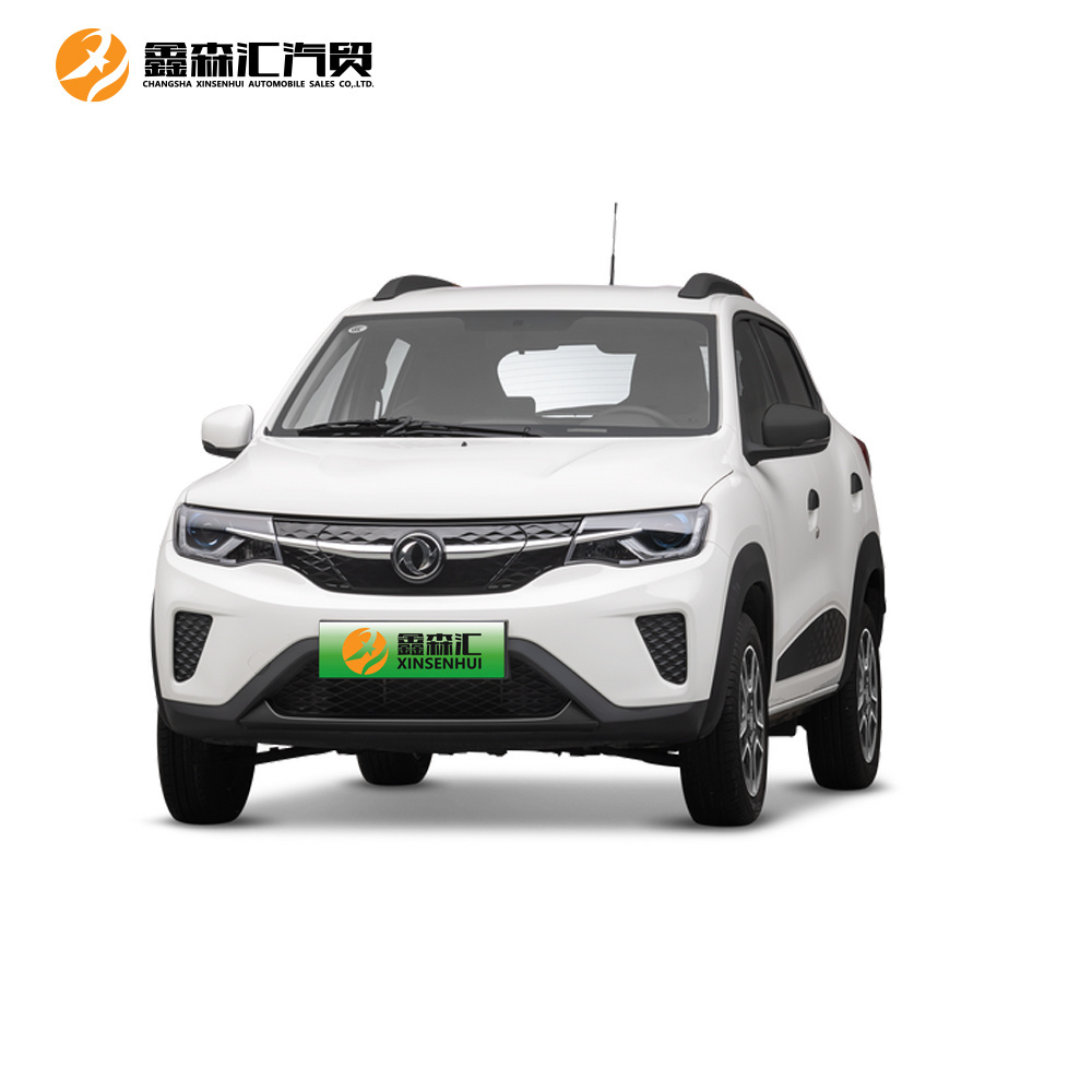 Hot New Energy Electric Vehicle The Latest Dongfeng Ex1 Nano Ex1 Four Wheel High-Speed Electric Vehicle