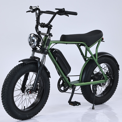 Electric Bike Fat Tire 48v 13AH 500w E bike 20inch electric bicycle fatbike fat tire ebike