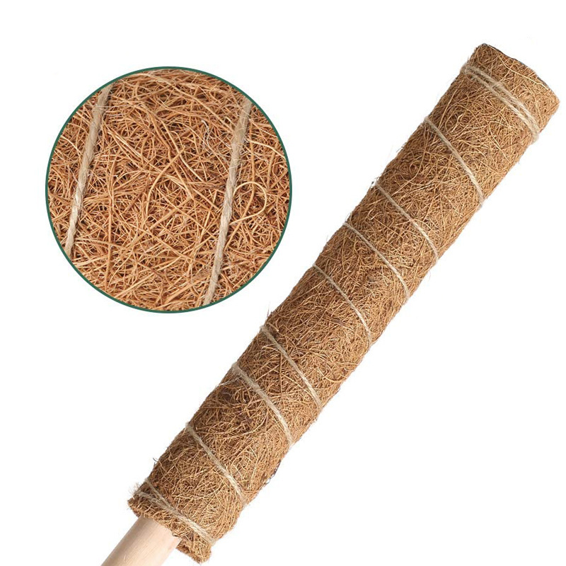 Coir Moss Pole Jute Mesh 1.2M 1.5M 1.6M 40Cm 50Cm 60Cm 70Cm 80Cm Base Cage Care Cons Etsy Leca Mold Pins Tall Ties Tips Wire