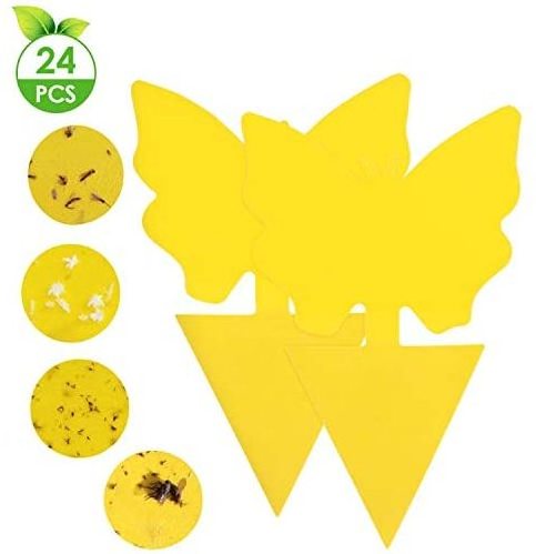 12 Pack Sticky Fruit Fly Fungus Gnat Glue Traps Killer for Indoor Outdoor Protect The Plant Pest Sticky Trap