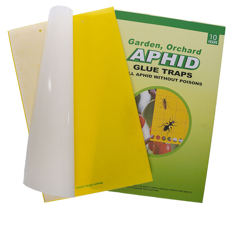 Flying Insect Killers Yellow Sticky Fruit Fly Sticky Traps Killing Aphids Whitefly  for Insect Sticky trap