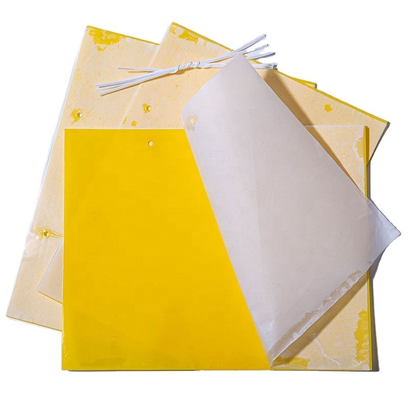 High Cost-effective Yellow PP Sheets Materials Insect Glue Boards Catch Fruit Fly Sticky Bug Traps