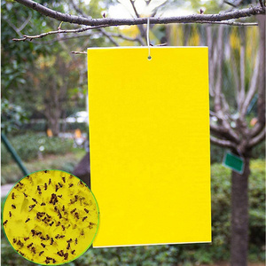 Flying Insect Killers Yellow Sticky Fruit Fly Sticky Traps Killing Aphids Whitefly  for Insect Sticky trap