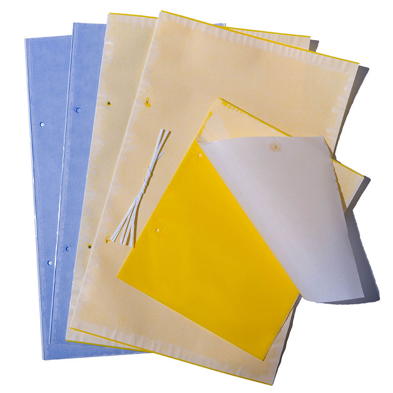 High Cost-effective Yellow PP Sheets Materials Insect Glue Boards Catch Fruit Fly Sticky Bug Traps