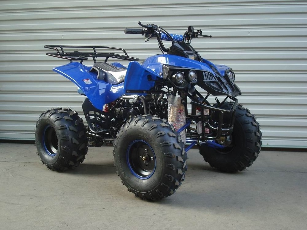 sale 110cc 125CC quad bike 4 wheeler ATV  for adults  With CE Approved