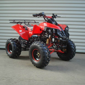 sale 110cc 125CC quad bike 4 wheeler ATV  for adults  With CE Approved